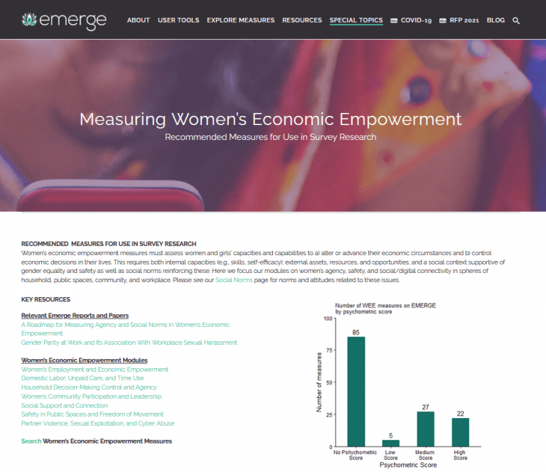 Measuring Women’s Economic Empowerment: Recommended Measures For Survey ...